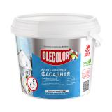ВДК фасадная  база С 9,0 л OLECOLOR (1)